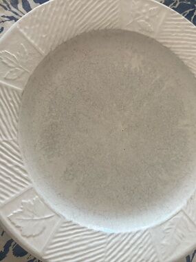 Pfaltzgraff White/Cream Textured Dinner Plate for Repoacement